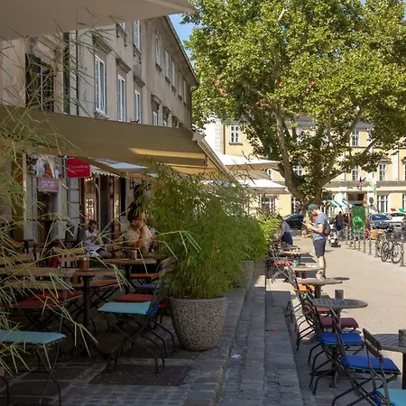 Njegoseva With Big Terrace *