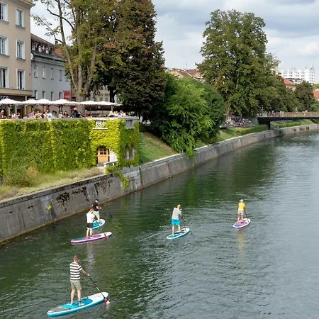 Njegoseva With Big Terrace