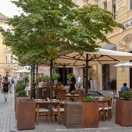 Njegoseva With Big Terrace شقة *